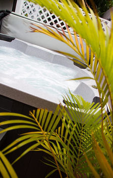 Apartment Lower Price, More Style, Discount Studio In San Juan,Pr, Beach, Free Bikes (Adults Only)