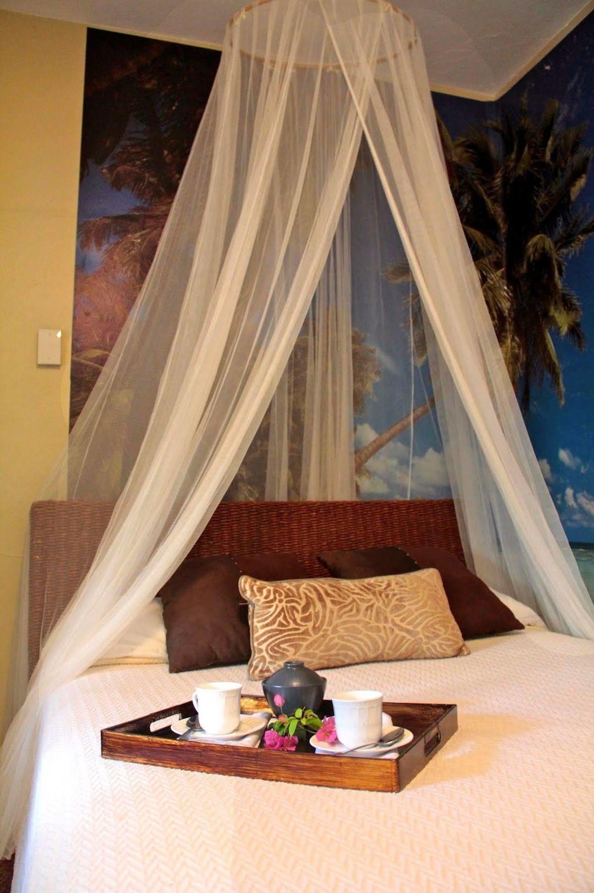 Apartment Lower Price, More Style, Discount Studio In San Juan,Pr, Beach, Free Bikes (Adults Only)
