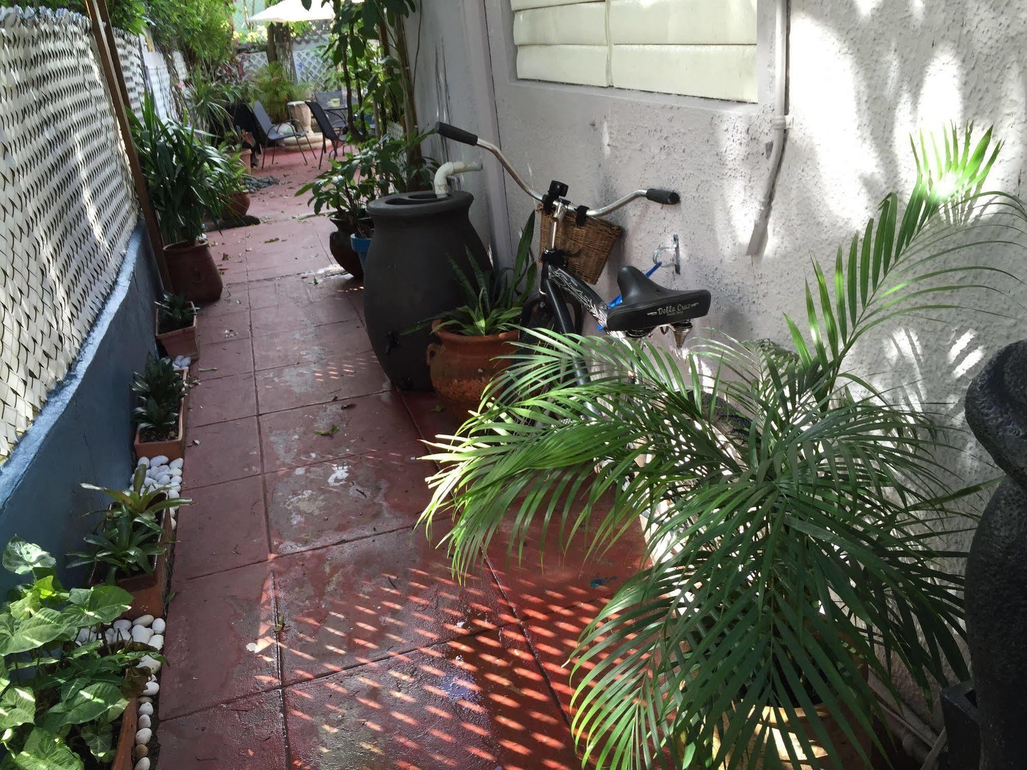 Apartment Coqui Del Mar Lgbtq Clothing Optional Guesthouse (Adults Only) *