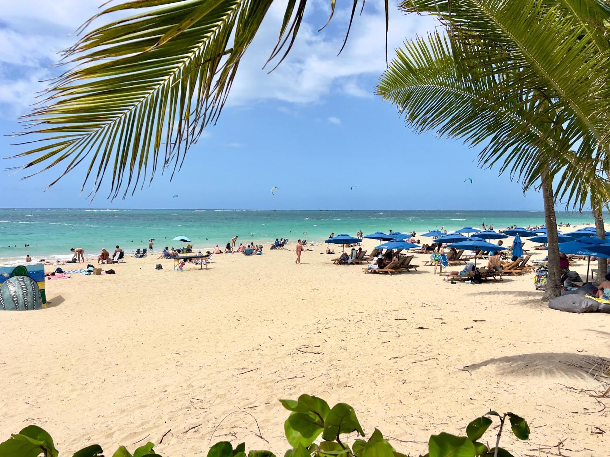 Apartment Beachfront Tropical Tantra