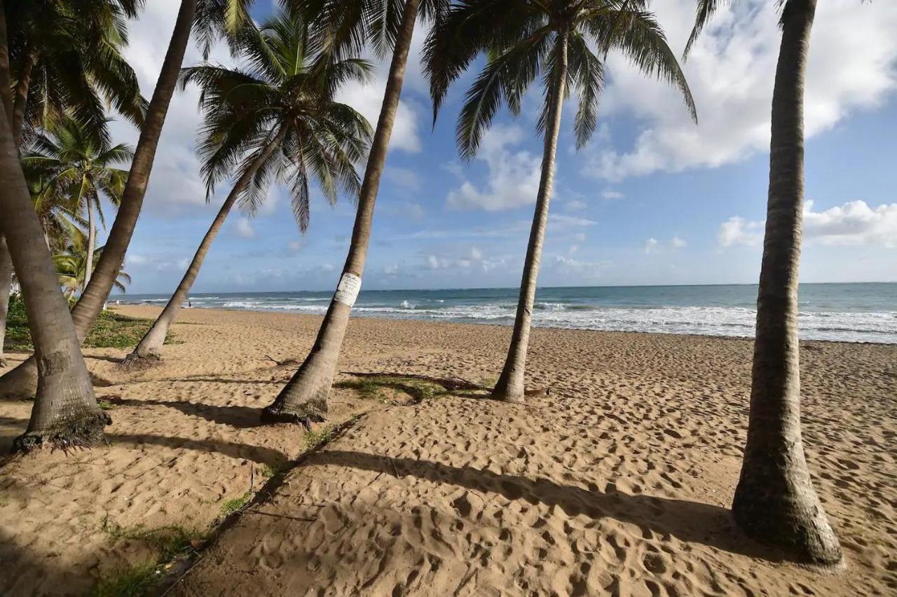Kasa Palmas Ocean View Beachfront Pool