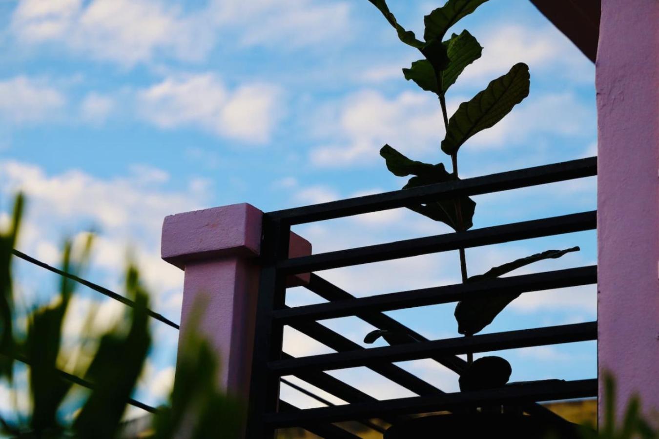 Hotel 12 Sunlit Balcony Near Calle Cerra San Juan